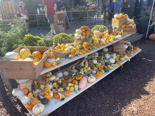 Flatbed Farm by null