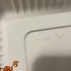 Burger Bar