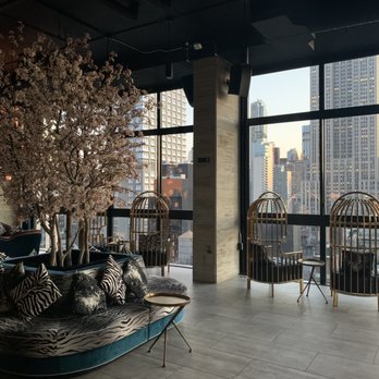 Hotel Hendricks - Rooftop - Hotels Near Me - New York, New York Hotel Hendricks - Rooftop - Hotels Near Me - New York, New York