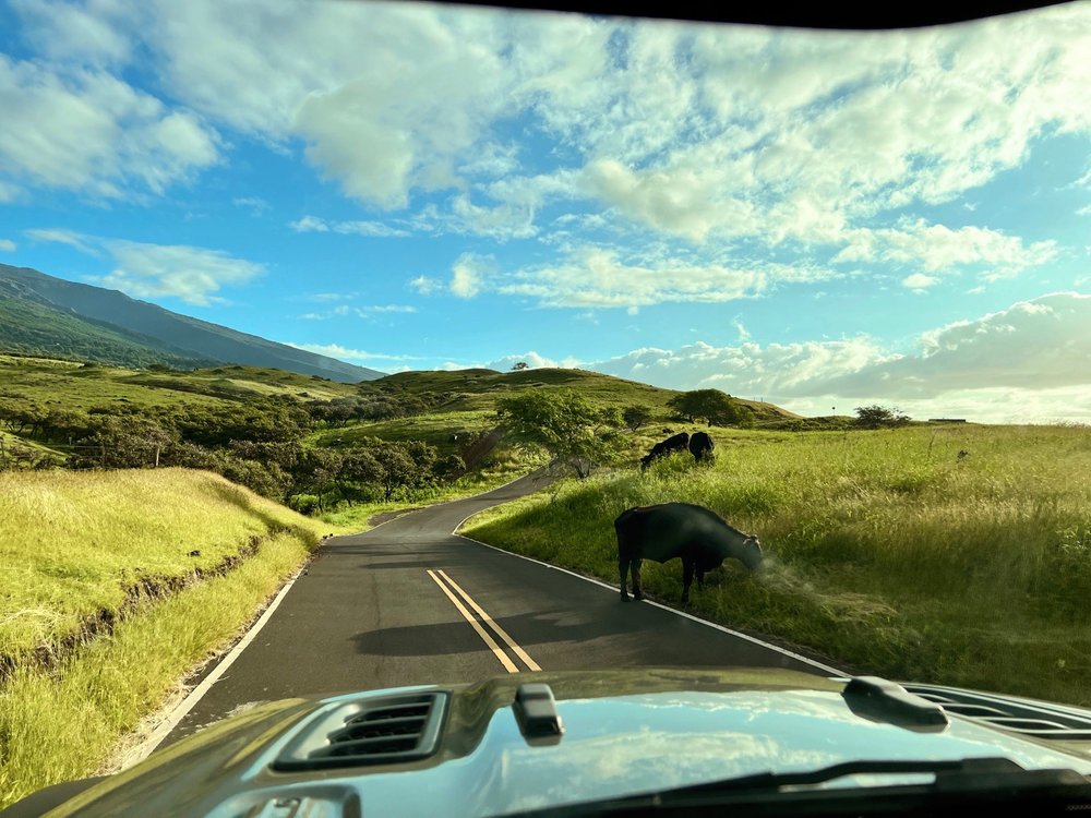 PIILANI HIGHWAY BACKSIDE OF ROAD TO HANA Updated October 2024 54