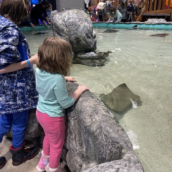 Blue Zoo Aquarium Spokane - Aquarium - Aquariums Near Me - Spokane, Washington