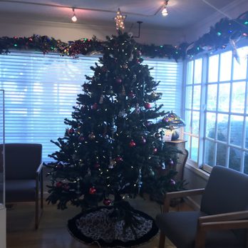 Raymond Umeda, OD - December 2018 Dr. Umeda waiting area. Gorgeous Christmas tree! - Optometrists Near Me - Campbell, California Raymond Umeda, OD - December 2018 Dr. Umeda waiting area. Gorgeous Christmas tree! - Optometrists Near Me - Campbell, California