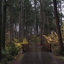 Lowami Hart Woods Natural Area