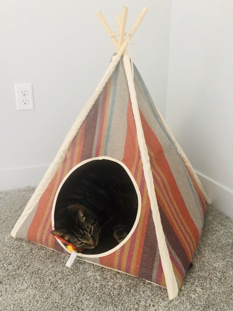 SMITTEN KITTEN Updated October 2024 19 Photos & 19 Reviews 549