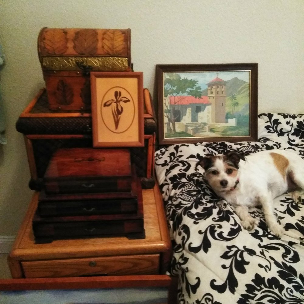 Treasure Paws - A few items I picked up at Pick of the Litter. - Thrift Stores Near Me - Burlingame, California Treasure Paws - A few items I picked up at Pick of the Litter. - Thrift Stores Near Me - Burlingame, California