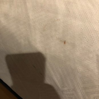Motel 6 - Stains on the bed covers - Hotels Near Me - King City, California Motel 6 - Stains on the bed covers - Hotels Near Me - King City, California