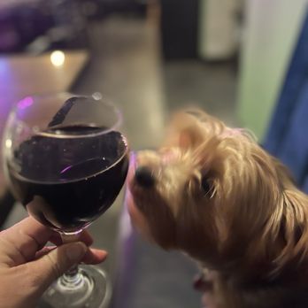 Tres Amores y Cantina - Wine with my Sadie - Italian Near Me - Oxnard, California Tres Amores y Cantina - Wine with my Sadie - Italian Near Me - Oxnard, California