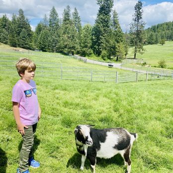 Seven Stars Ranch - Ranches Near Me - Coeur d'Alene, Idaho Seven Stars Ranch - Ranches Near Me - Coeur d'Alene, Idaho