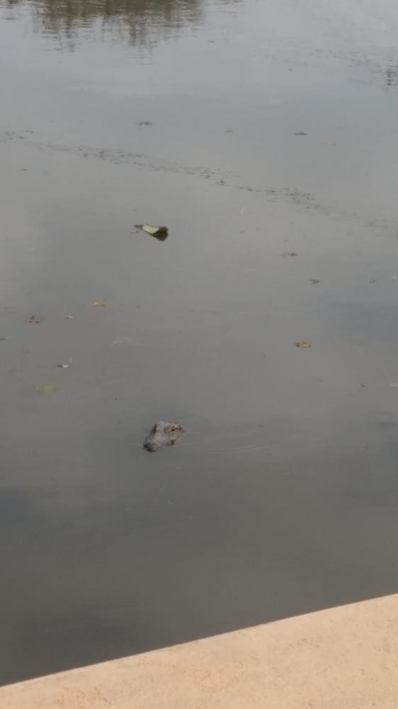 JEFFERSON MEMORIAL GARDENS AND MAUSOLEUM Updated September 2024