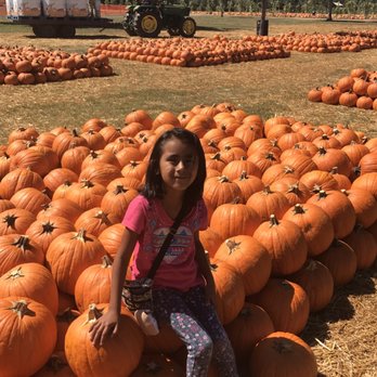 Bates Nut Farm - Specialty Food Near Me - Valley Center, California Bates Nut Farm - Specialty Food Near Me - Valley Center, California