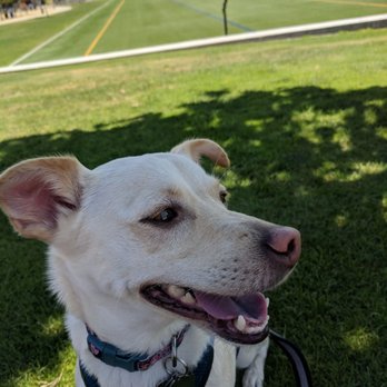 Great Park - Parks Near Me - Irvine, California Great Park - Parks Near Me - Irvine, California