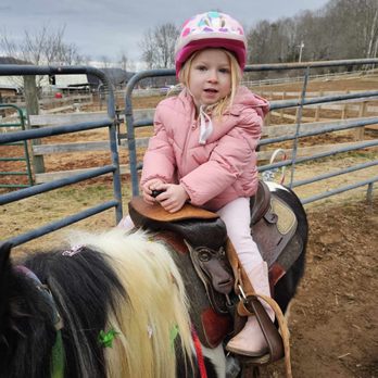 Horsing Around The Barn - Horseback Riding Near Me - Franklin, North Carolina