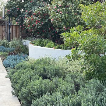 Twin Palms Landscape - Radius planter wall with succulent garden - Landscaping Near Me Twin Palms Landscape - Radius planter wall with succulent garden - Landscaping Near Me