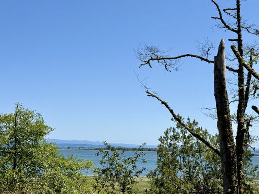 Cape Disappointment State Park by null