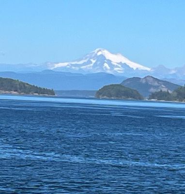 Savor Seattle Food Tours by null