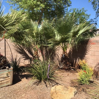 Moon Valley Nurseries - After - Nurseries & Gardening Near Me - Chandler, Arizona
