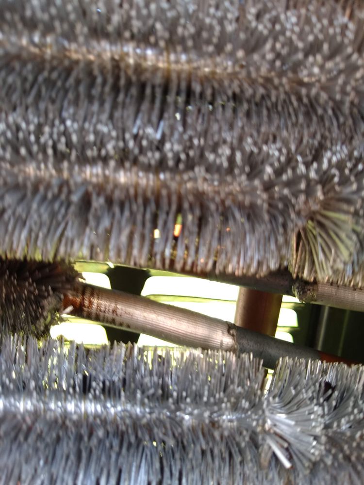 Slide of Roland J. Down Service Experts