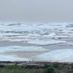By The Sea Inn & Cafe - Bergybits at Kings Point, NL