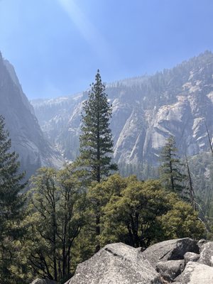 Mist Trail by null