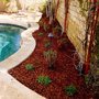 Photo of Edgardening and Tree Service