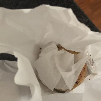 Westmont Bagel - Part of baker's dozen - garlic and everything packed separately - Bagels Near Me - Haddon Township, New Jersey Westmont Bagel - Part of baker's dozen - garlic and everything packed separately - Bagels Near Me - Haddon Township, New Jersey