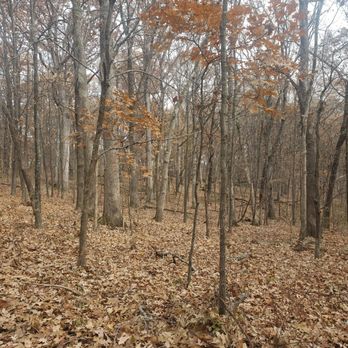 Rockwoods Reservation - Hiking Near Me - Wildwood, Missouri Rockwoods Reservation - Hiking Near Me - Wildwood, Missouri