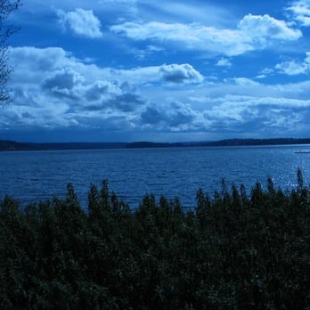 Madrona Park - Parks Near Me - Seattle, Washington Madrona Park - Parks Near Me - Seattle, Washington