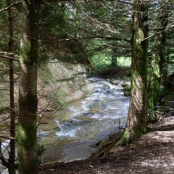 Parc Fenestre