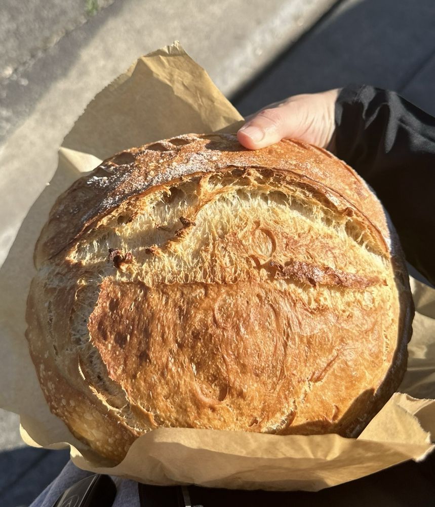 McCoy’s Sourdough  Logo
