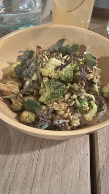 asterid by Ray Garcia by null