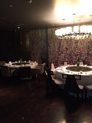 Tao Chinese Cuisine by null