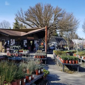 Urban Tree Farm Nursery 66 Photos 93 Reviews Nurseries Gardening 3010 Fulton Rd Ca Phone Number Yelp Urban Tree Farm Nursery 66 Photos, Urban Tree Farm Santa Rosa Ca