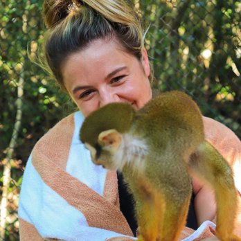 Akumal Monkey Sanctuary - Meeting the squirrel monkey! - Zoos Near Me - Akumal, ROO Akumal Monkey Sanctuary - Meeting the squirrel monkey! - Zoos Near Me - Akumal, ROO