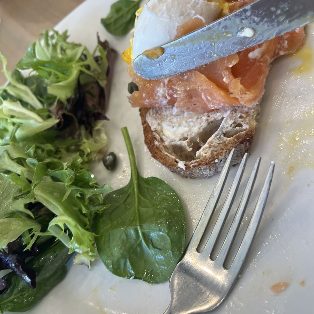 Purple Waves - Where's the labneh? - Cafes Near Me - New York, New York Purple Waves - Where's the labneh? - Cafes Near Me - New York, New York