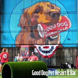 Good Dog Bar and Dog Park Gift Card