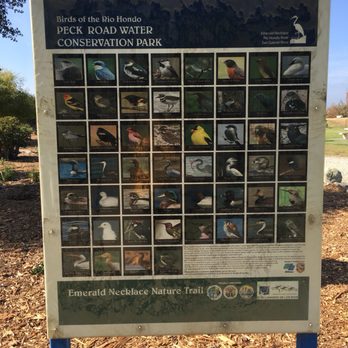 Peck Road Water Conservation Park - Parks Near Me - Arcadia, California Peck Road Water Conservation Park - Parks Near Me - Arcadia, California