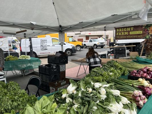 Irvington Farmers' Market by null