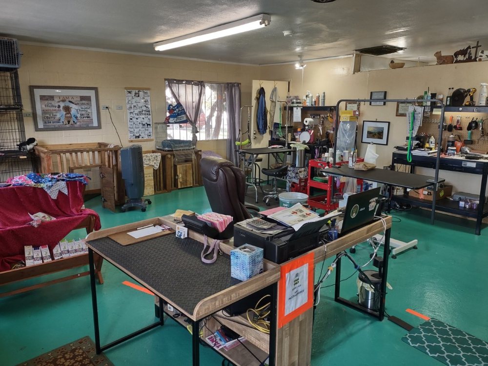 WILD WILD WEST PET GROOMING with photos Updated August 2024 11
