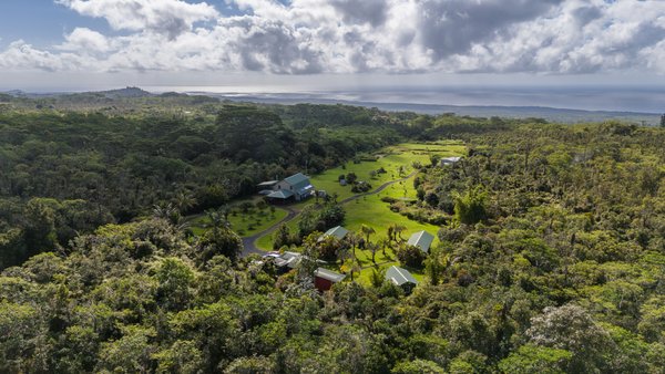 Puna Rainforest Retreat: Hot springs and steam vents by null
