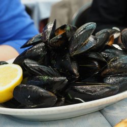 Blumarina - Mussels