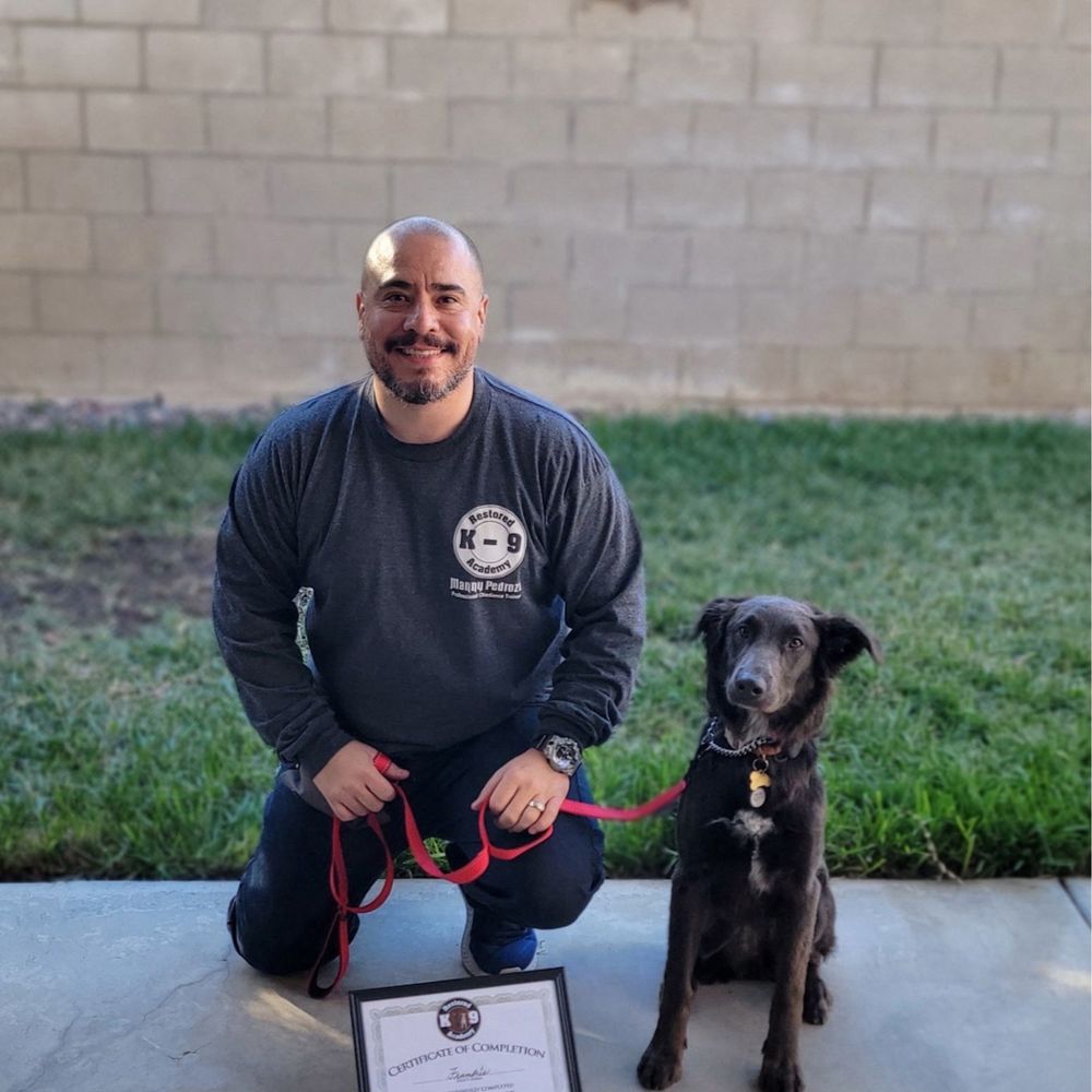 Restored k-9 Academy - Manny and Frankie - Pet Training Near Me Restored k-9 Academy - Manny and Frankie - Pet Training Near Me