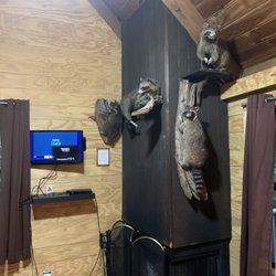 Blood Mountain Cabins & Country Store - Living Room
