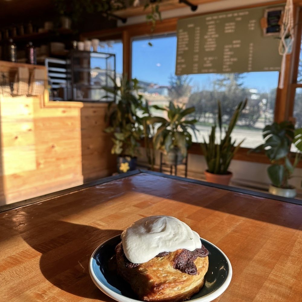 Moon Frog Coffee - Cinnamon roll to start the morning - Coffee & Tea Near Me - Winter Park, Colorado Moon Frog Coffee - Cinnamon roll to start the morning - Coffee & Tea Near Me - Winter Park, Colorado