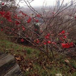 Parc des Hauteurs et Jardin du Rosaire - Même en hiver ce jardin à du charme...