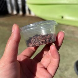 Lanikai Juice - I paid $1.50 for this. So sad. I ended buying a whole bag at Whole Foods across the street.