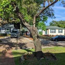 Greenwood Tree - AFTER 5/4/23 Front yard maple