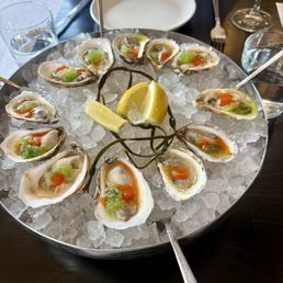 Oysters Oysters