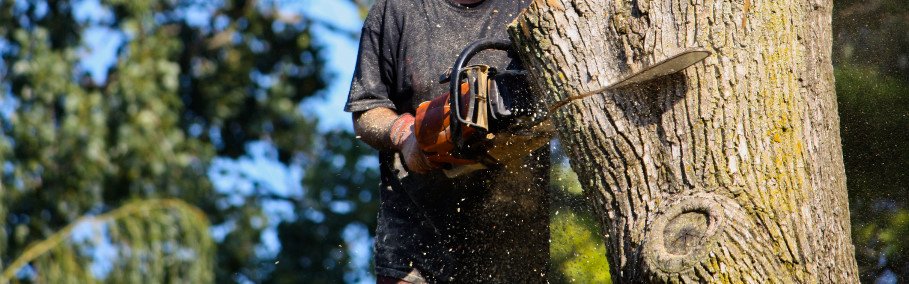 American Firewood and Tree Service - tree service in Woods Cross, UT