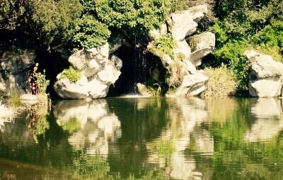 Parc Bagatelle - la Roseraie by null