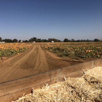 Bishop's Pumpkin Farm - Hay ride - Christmas Trees Near Me - Wheatland, California Bishop's Pumpkin Farm - Hay ride - Christmas Trees Near Me - Wheatland, California